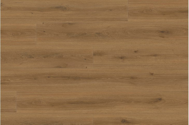 Tilo Vinylboden Elito Trend Eiche Caramel 3